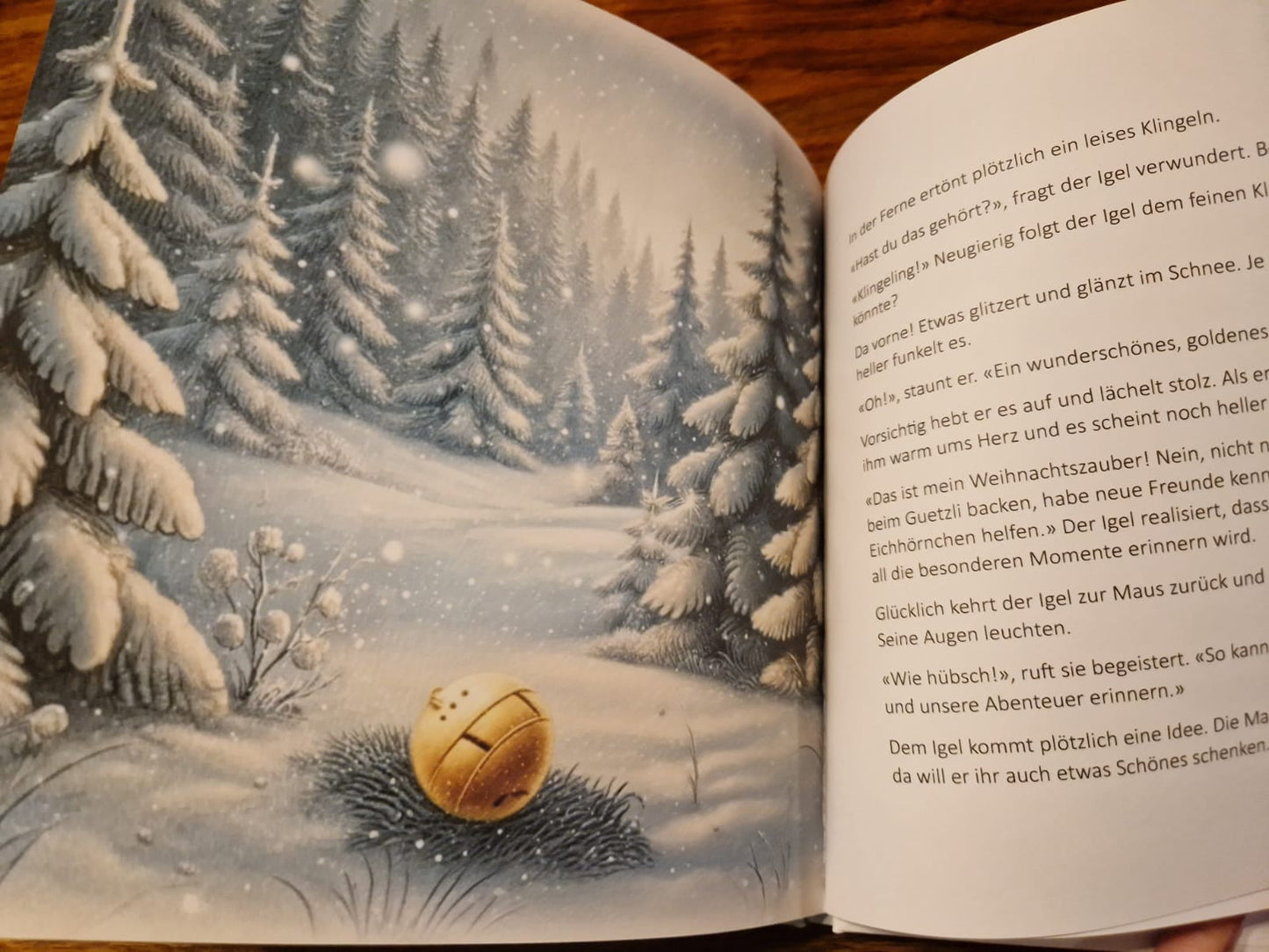 Weihnachtszauber – Das magische Kinderbuch